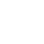 icons8-efficiency-64